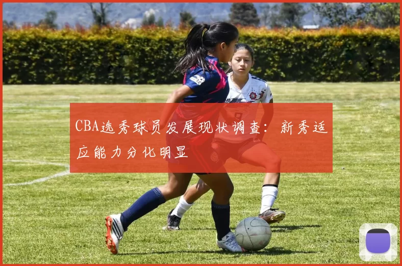 CBA选秀球员发展现状调查：新秀适应能力分化明显