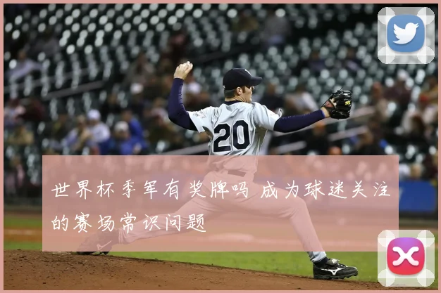 世界杯季军有奖牌吗 成为球迷关注的赛场常识问题