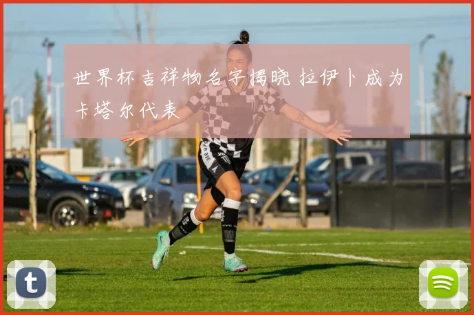 世界杯吉祥物名字揭晓 拉伊卜成为卡塔尔代表