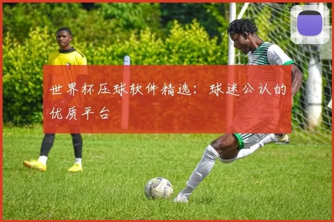 世界杯压球软件精选:球迷公认的优质平台