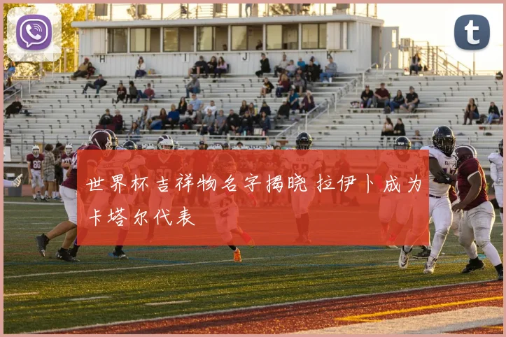 世界杯吉祥物名字揭晓 拉伊卜成为卡塔尔代表