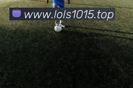 辅助工具 辅助工具